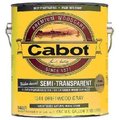Cabot/Valsparrp GAL Deep EXT WB Stain 1307-07